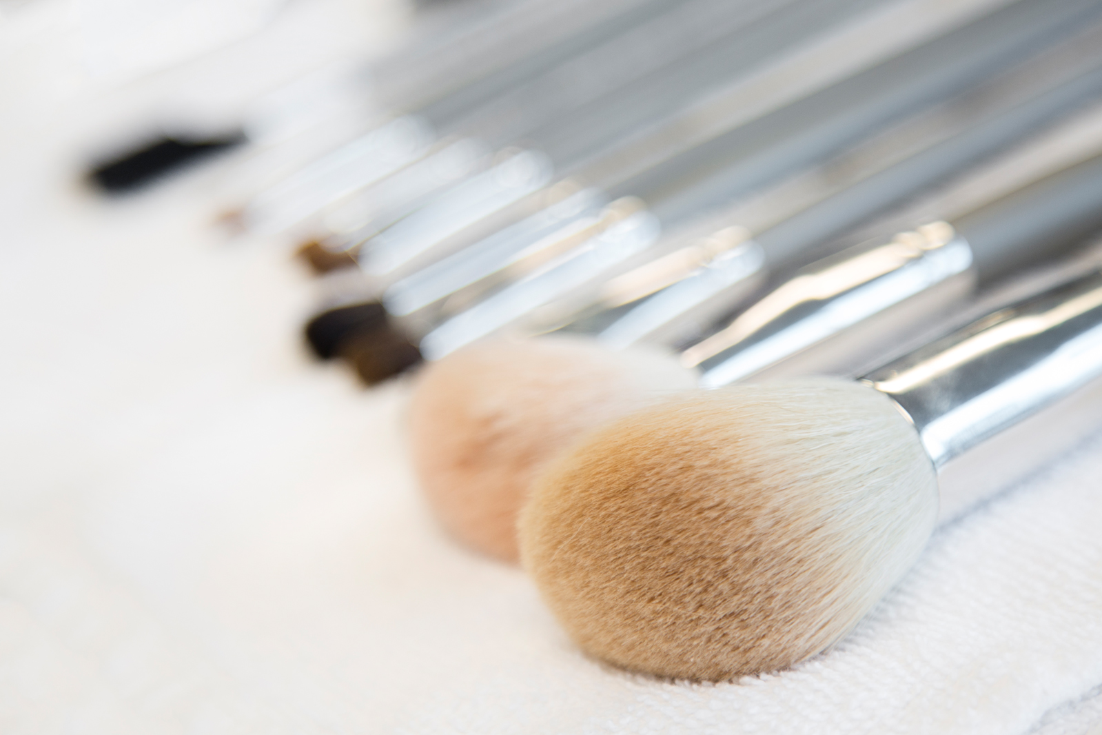 Brush collection at Razor's Edge